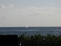IMG_3376