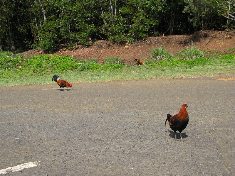 IMG_3399.JPG