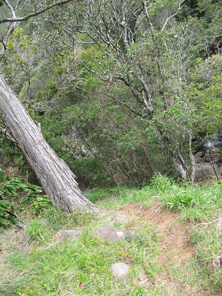 IMG_3414.JPG - Taking the footpath to check it out.