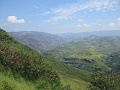 IMG_3381