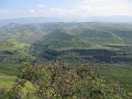 IMG_3383