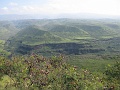 IMG_3384