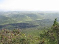 IMG_3385