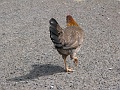 IMG_3396