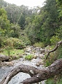 IMG_3416