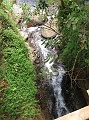 IMG_3419