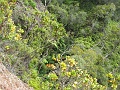 IMG_3423