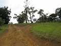 IMG_3427