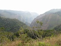 IMG_3440