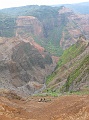 IMG_3445