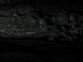 IMG_3451