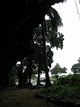 IMG_3455