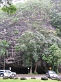 IMG_3456