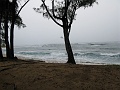 IMG_3458