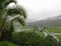 IMG_3460