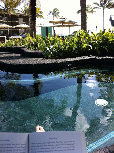 IMG_0362.JPG - Very large hot tub. Also a nice place to read a book.