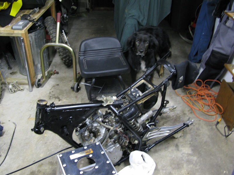 IMG_3500.JPG - It made a loud noise.