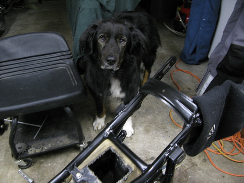 IMG_3501.JPG - Schaefer is making sure I've got things under control.