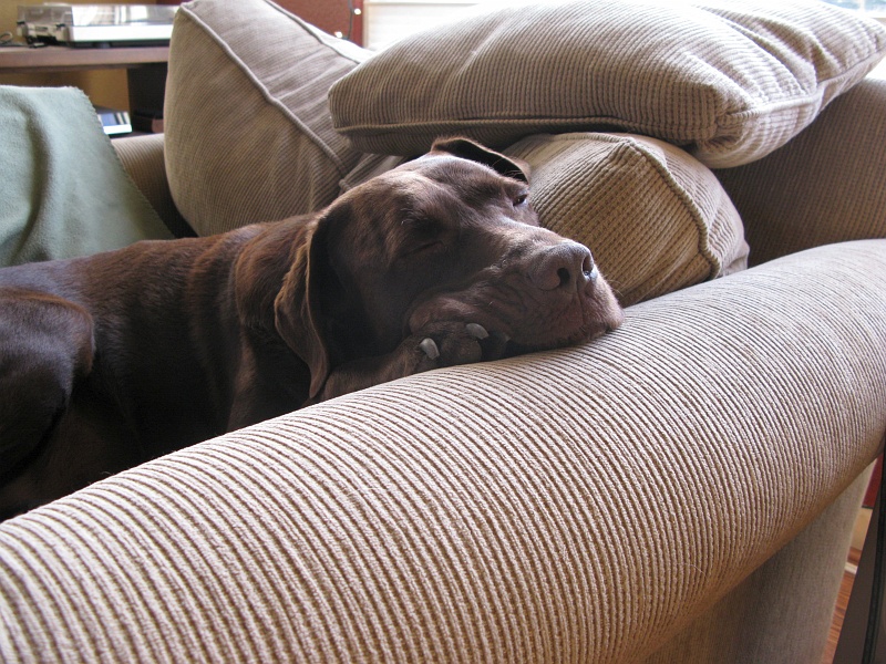 IMG_3512.JPG - Figure A: Typical.