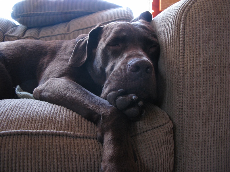 IMG_3515.JPG - ZZZZgngnggnnzzz.