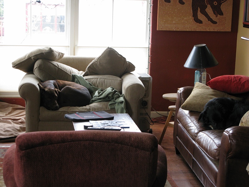 IMG_3560.JPG - Everybody comfy.