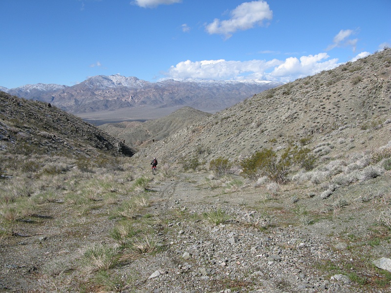 IMG_3583.JPG