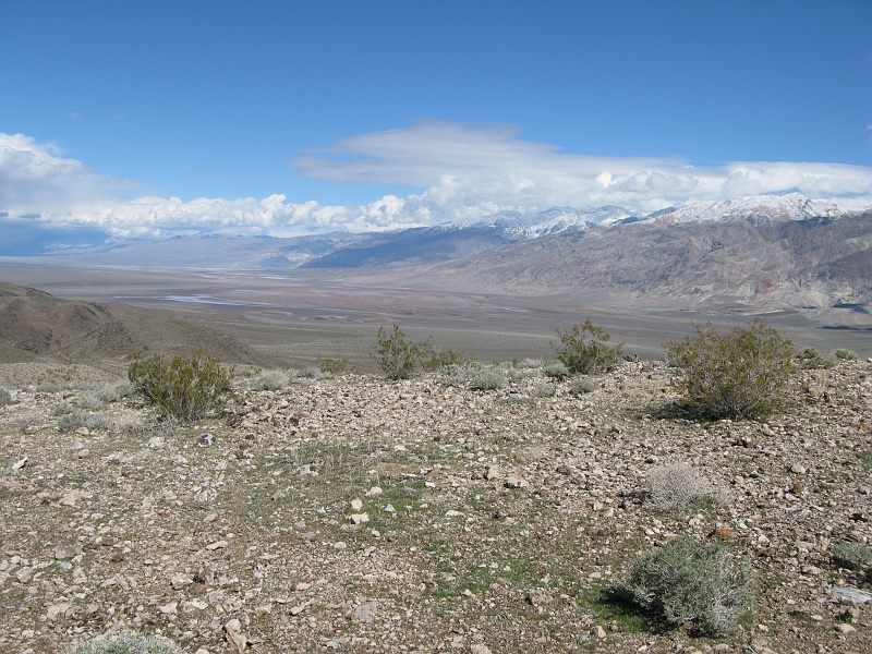 IMG_3585.JPG