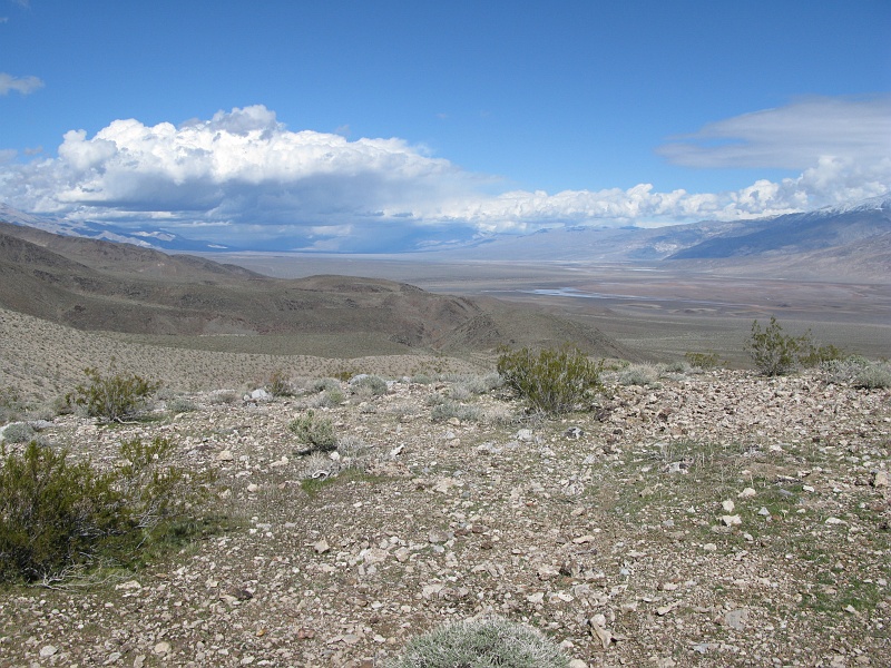 IMG_3586.JPG