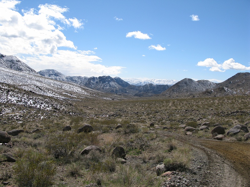 IMG_3597.JPG