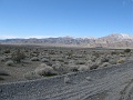 IMG_3578