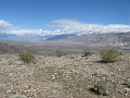 IMG_3585
