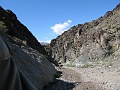 IMG_3590