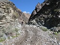 IMG_3592