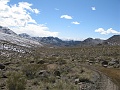 IMG_3597