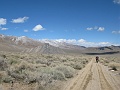 IMG_3606
