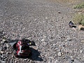 IMG_3624