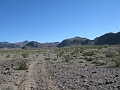 IMG_3655