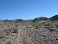 IMG_3656