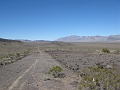 IMG_3662