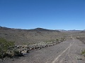 IMG_3663