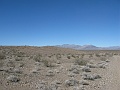 IMG_3674