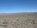 IMG_3679
