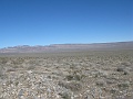 IMG_3680