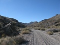 IMG_3681