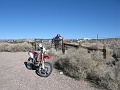 IMG_3683