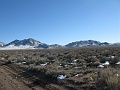 IMG_3686
