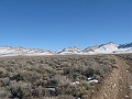 IMG_3687