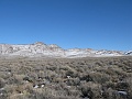 IMG_3688