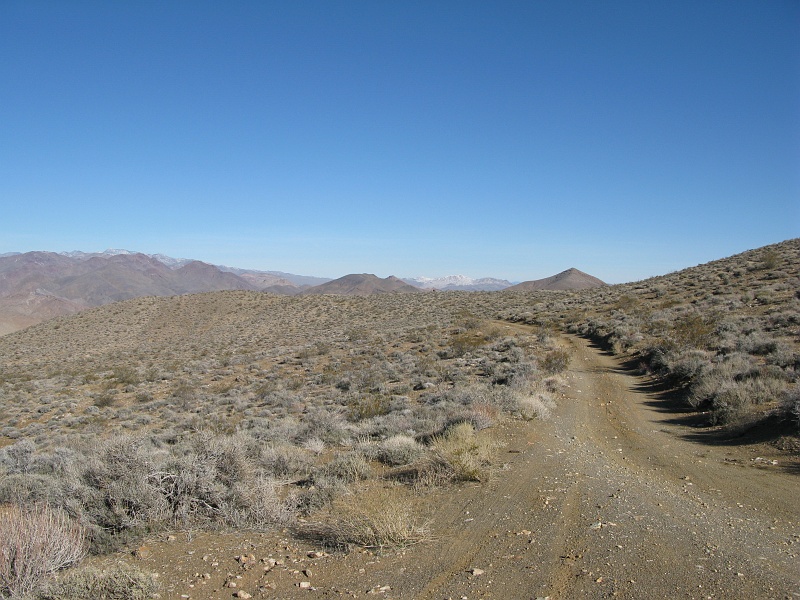 IMG_3725.JPG