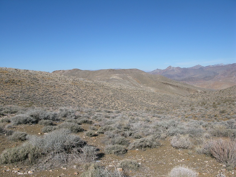 IMG_3727.JPG